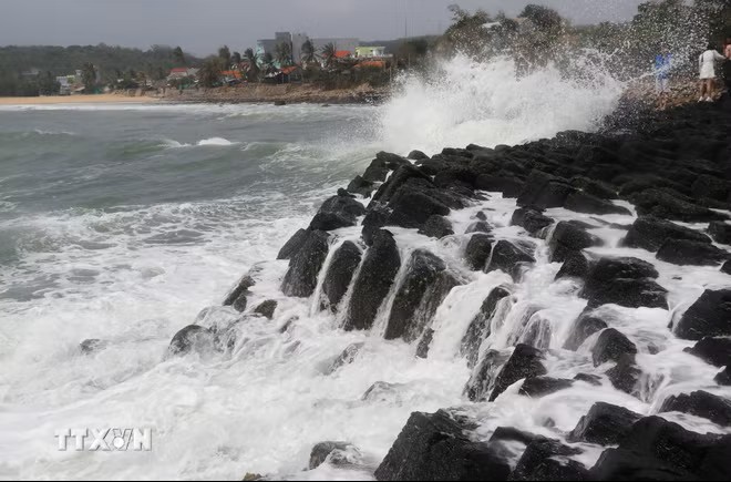 Gành Đá Đĩa. (Nguồn: TTXVN)