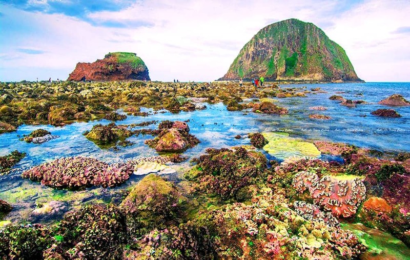 Bảo tồn rạn san hô khu vực Hòn Yến, gắn với phát triển du lịch cộng đồng