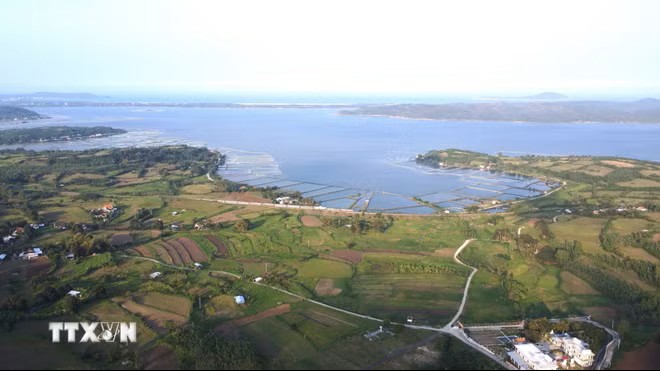 Danh thắng quốc gia Đầm Ô Loan (Đắk Lắk). (Ảnh: Tường Quân/TTXVN)